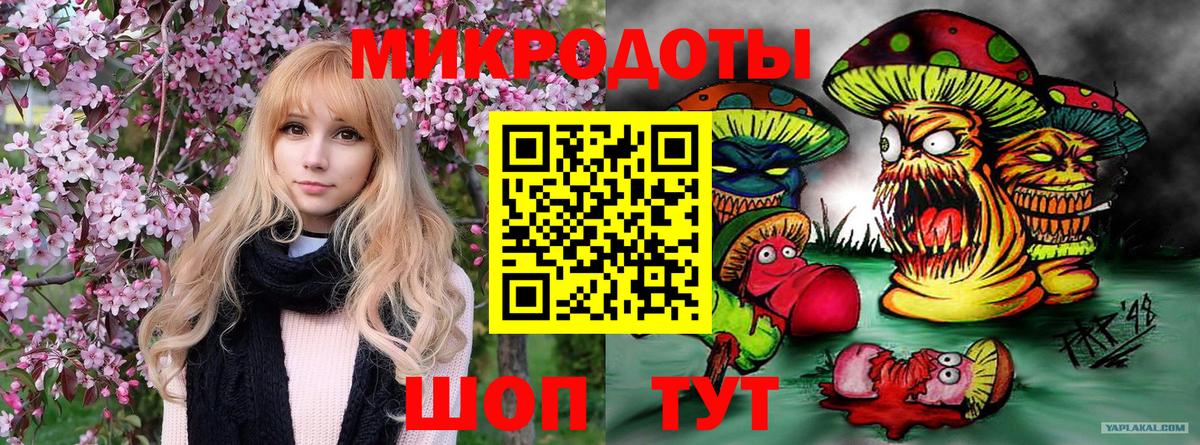 Галлюциногенные грибы Psilocybine cubensis Рассказово