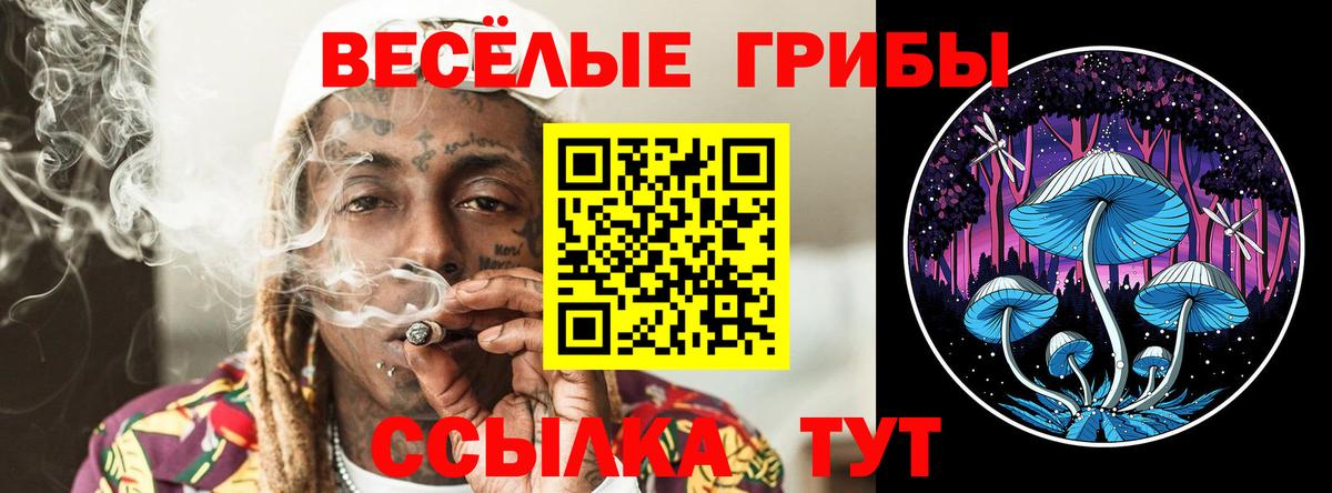 Рассказово  Галлюциногенные грибы ЛСД  Галлюциногенные грибы MAGIC MUSHROOMS  Вход с VPN 